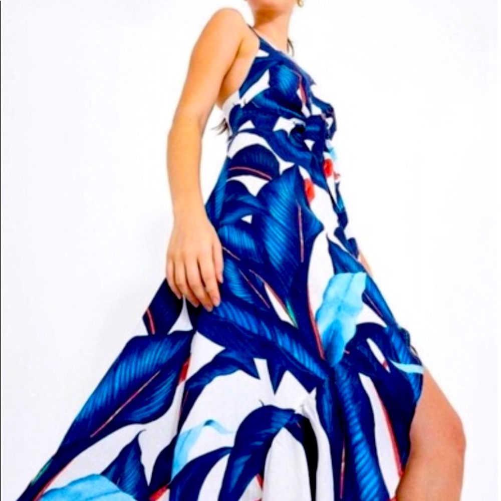 Farm Rio Blue Palm dress.